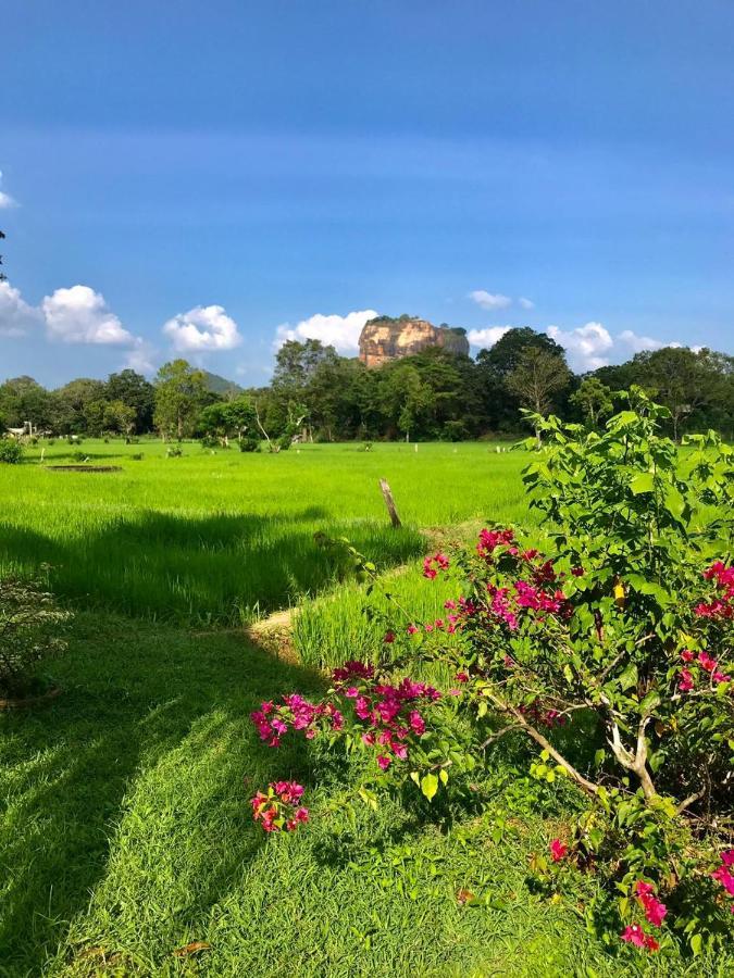 Castle View Sigiriya Hotell Eksteriør bilde