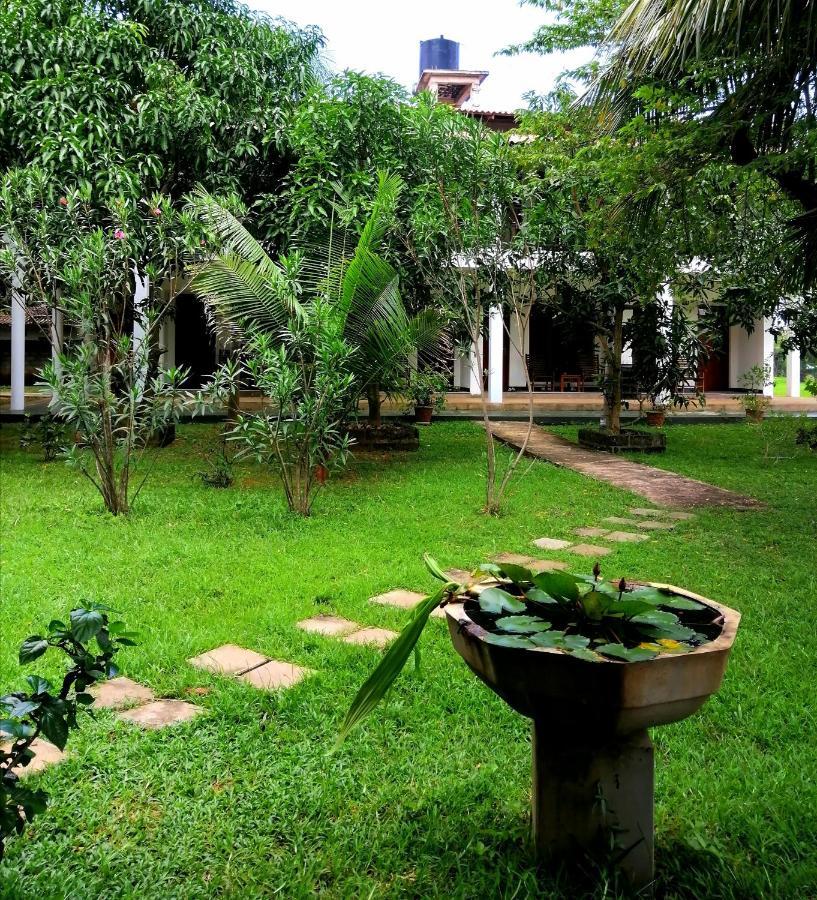 Castle View Sigiriya Hotell Eksteriør bilde
